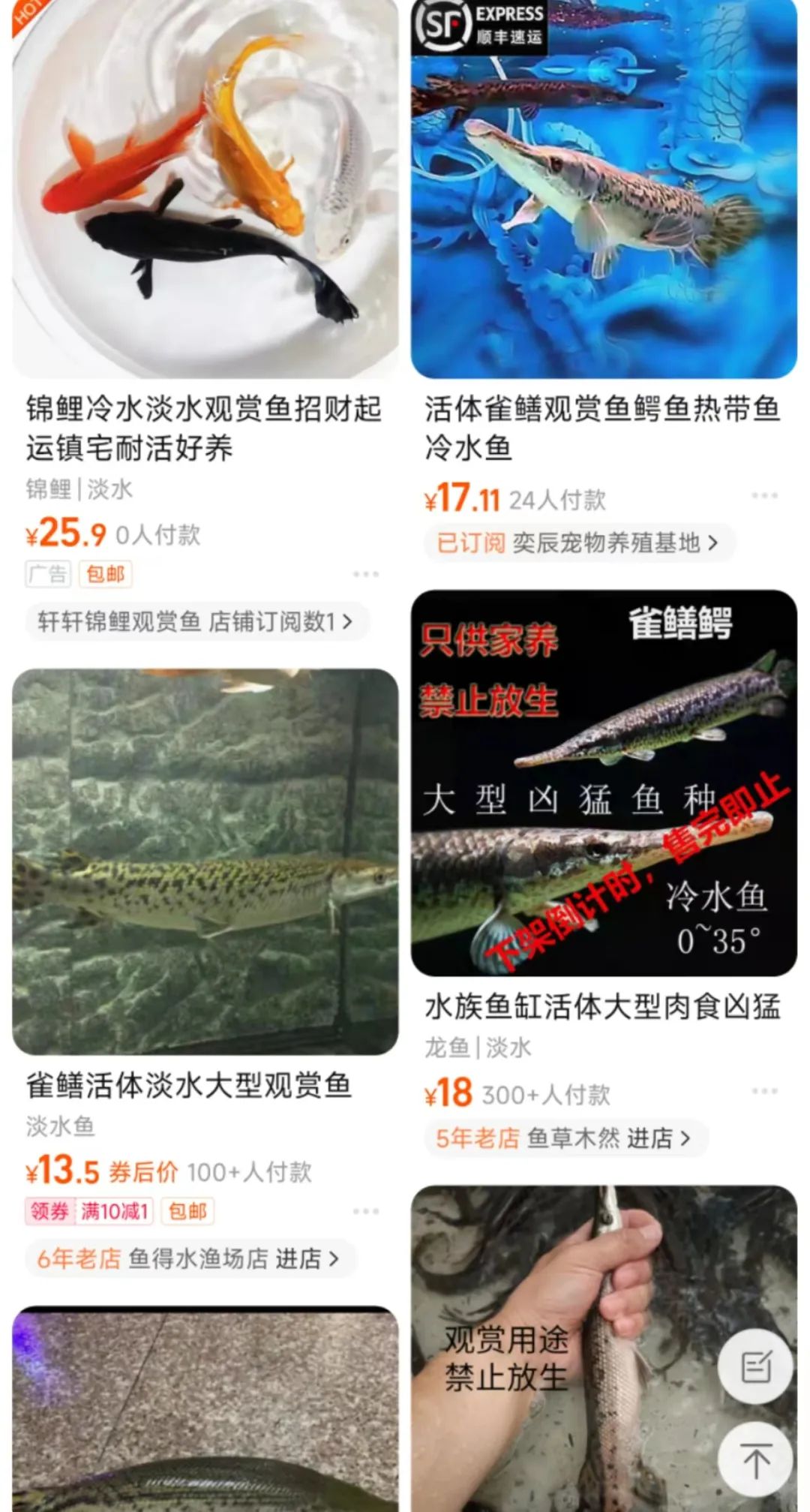 ▲8月30日,新京报记者发现,某电商平台多家店铺在出售鳄雀鳝。网页截图