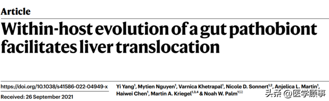 肠道细菌的脱逃会伴随慢性炎症导致微生物过度渗透称作“肠漏”休闲区蓝鸢梦想 - Www.slyday.coM 肠道细菌的脱逃会伴随慢性炎症导致微生物过度渗透称作“肠漏”休闲区蓝鸢梦想 - Www.slyday.coM