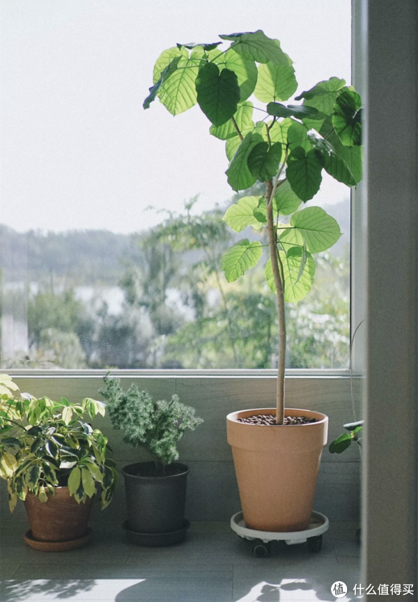 这个女生有点牛,将原本奇怪的户型,装成了万人羡慕的样子,厉害休闲区蓝鸢梦想 - Www.slyday.coM 这个女生有点牛,将原本奇怪的户型,装成了万人羡慕的样子,厉害休闲区蓝鸢梦想 - Www.slyday.coM