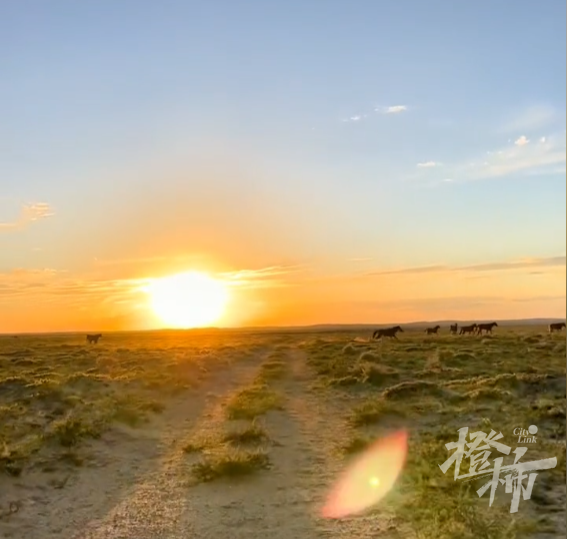 今天这段送葬视频看哭很多人!34岁老马去世,2匹小马拦在车前……休闲区蓝鸢梦想 - Www.slyday.coM 今天这段送葬视频看哭很多人!34岁老马去世,2匹小马拦在车前……休闲区蓝鸢梦想 - Www.slyday.coM
