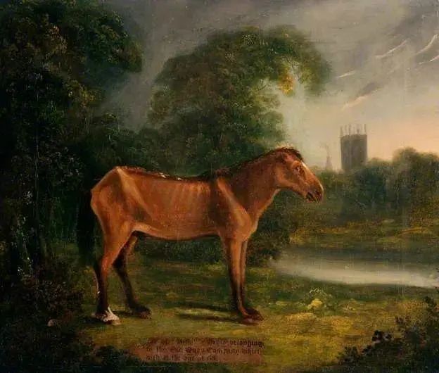 今天这段送葬视频看哭很多人!34岁老马去世,2匹小马拦在车前……休闲区蓝鸢梦想 - Www.slyday.coM 今天这段送葬视频看哭很多人!34岁老马去世,2匹小马拦在车前……休闲区蓝鸢梦想 - Www.slyday.coM