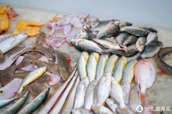 真吃不下了,这个靠海吃海的小县城怎么就能这么好吃!休闲区蓝鸢梦想 - Www.slyday.coM 真吃不下了,这个靠海吃海的小县城怎么就能这么好吃!休闲区蓝鸢梦想 - Www.slyday.coM