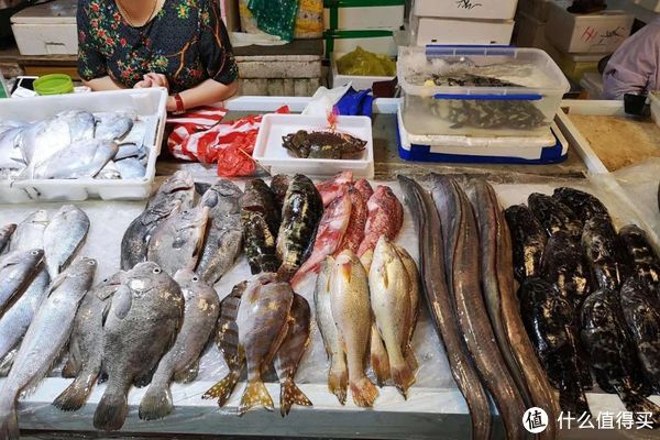 真吃不下了,这个靠海吃海的小县城怎么就能这么好吃!休闲区蓝鸢梦想 - Www.slyday.coM 真吃不下了,这个靠海吃海的小县城怎么就能这么好吃!休闲区蓝鸢梦想 - Www.slyday.coM