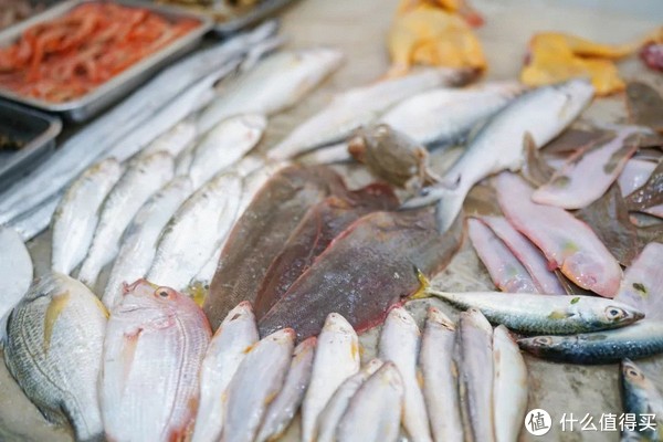 真吃不下了,这个靠海吃海的小县城怎么就能这么好吃!休闲区蓝鸢梦想 - Www.slyday.coM 真吃不下了,这个靠海吃海的小县城怎么就能这么好吃!休闲区蓝鸢梦想 - Www.slyday.coM