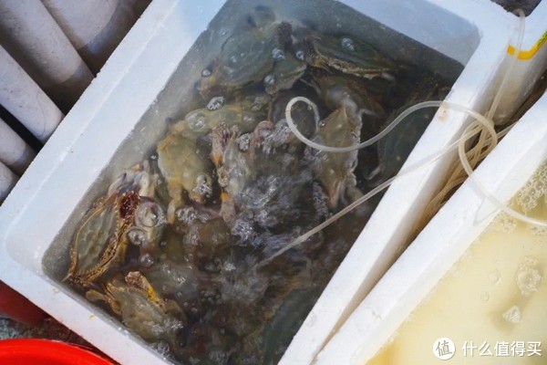 真吃不下了,这个靠海吃海的小县城怎么就能这么好吃!休闲区蓝鸢梦想 - Www.slyday.coM 真吃不下了,这个靠海吃海的小县城怎么就能这么好吃!休闲区蓝鸢梦想 - Www.slyday.coM