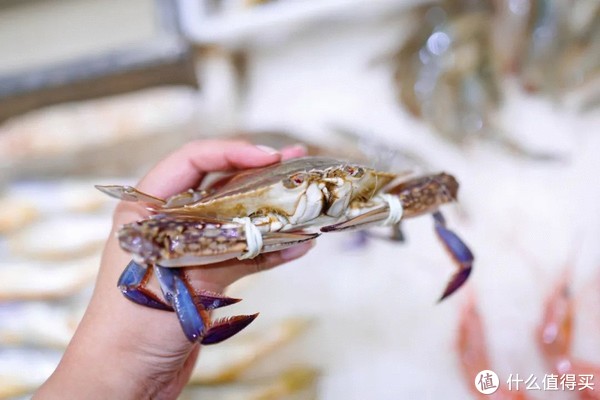 真吃不下了,这个靠海吃海的小县城怎么就能这么好吃!休闲区蓝鸢梦想 - Www.slyday.coM 真吃不下了,这个靠海吃海的小县城怎么就能这么好吃!休闲区蓝鸢梦想 - Www.slyday.coM