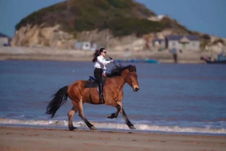沿着“再就业男团”老男孩的足迹,一起去象山打卡休闲区蓝鸢梦想 - Www.slyday.coM 沿着“再就业男团”老男孩的足迹,一起去象山打卡休闲区蓝鸢梦想 - Www.slyday.coM