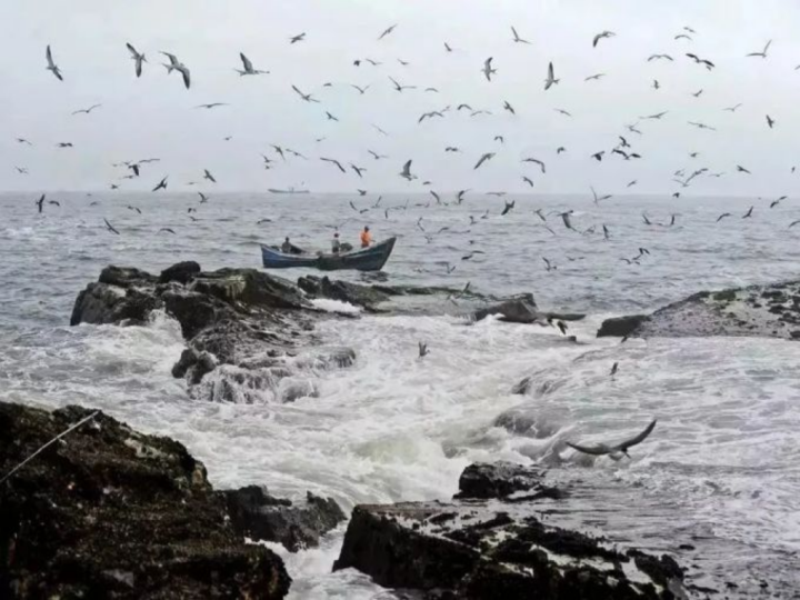 沿着“再就业男团”老男孩的足迹,一起去象山打卡休闲区蓝鸢梦想 - Www.slyday.coM 沿着“再就业男团”老男孩的足迹,一起去象山打卡休闲区蓝鸢梦想 - Www.slyday.coM
