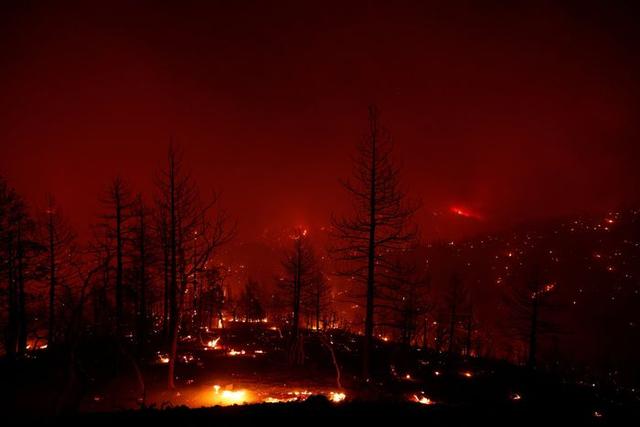 周五，加州锡斯基尤县瞪羚（Gazelle）市附近的山火（图自路透社）
