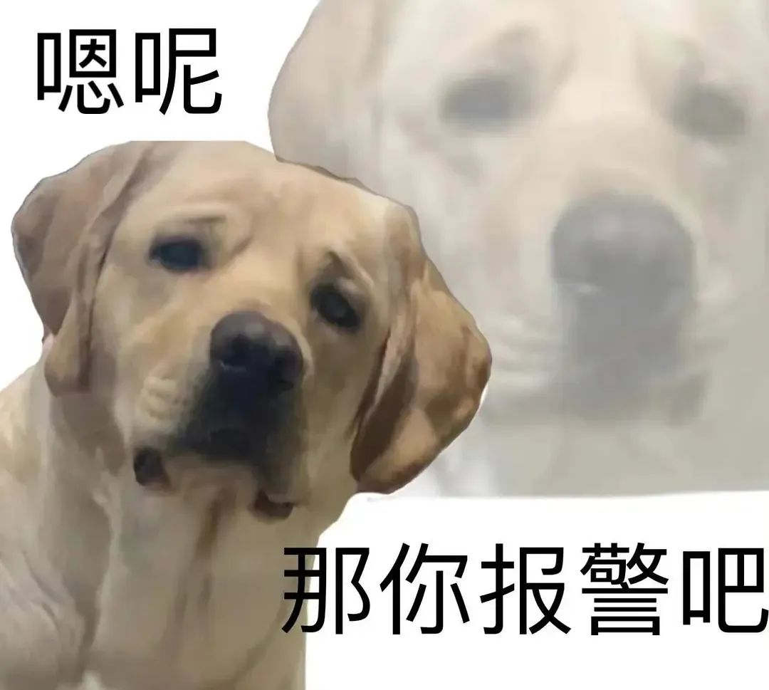 婚房被亲妈装修成主题酒店!推开门后...这谁扛得住?休闲区蓝鸢梦想 - Www.slyday.coM 婚房被亲妈装修成主题酒店!推开门后...这谁扛得住?休闲区蓝鸢梦想 - Www.slyday.coM