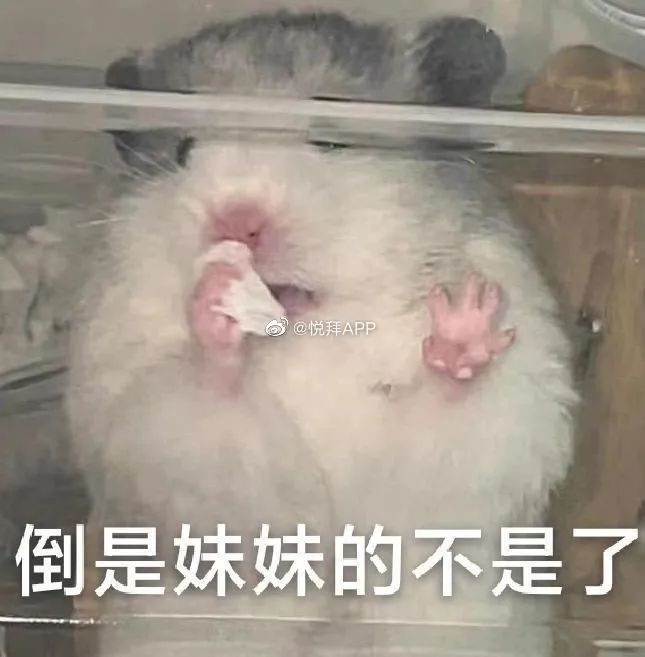 婚房被亲妈装修成主题酒店!推开门后...这谁扛得住?休闲区蓝鸢梦想 - Www.slyday.coM 婚房被亲妈装修成主题酒店!推开门后...这谁扛得住?休闲区蓝鸢梦想 - Www.slyday.coM