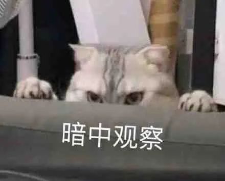 婚房被亲妈装修成主题酒店!推开门后...这谁扛得住?休闲区蓝鸢梦想 - Www.slyday.coM 婚房被亲妈装修成主题酒店!推开门后...这谁扛得住?休闲区蓝鸢梦想 - Www.slyday.coM