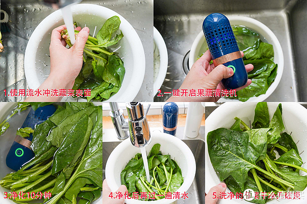 全程干货(果蔬清洗机东菱和大宇哪个好)东菱果蔬净化机真的有用吗,(图15) 全程干货(果蔬清洗机东菱和大宇哪个好)东菱果蔬净化机真的有用吗,(图15)