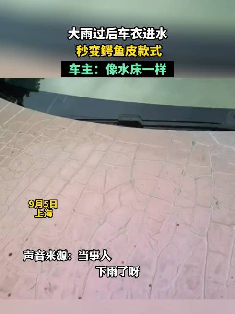 特斯拉车衣遇到大雨，这成了鳄鱼皮款式？