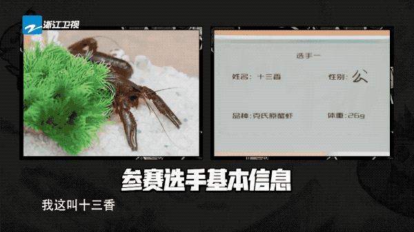 范丞丞自曝与魏大勋“不和”,又为何共饮一支汽水?休闲区蓝鸢梦想 - Www.slyday.coM 范丞丞自曝与魏大勋“不和”,又为何共饮一支汽水?休闲区蓝鸢梦想 - Www.slyday.coM