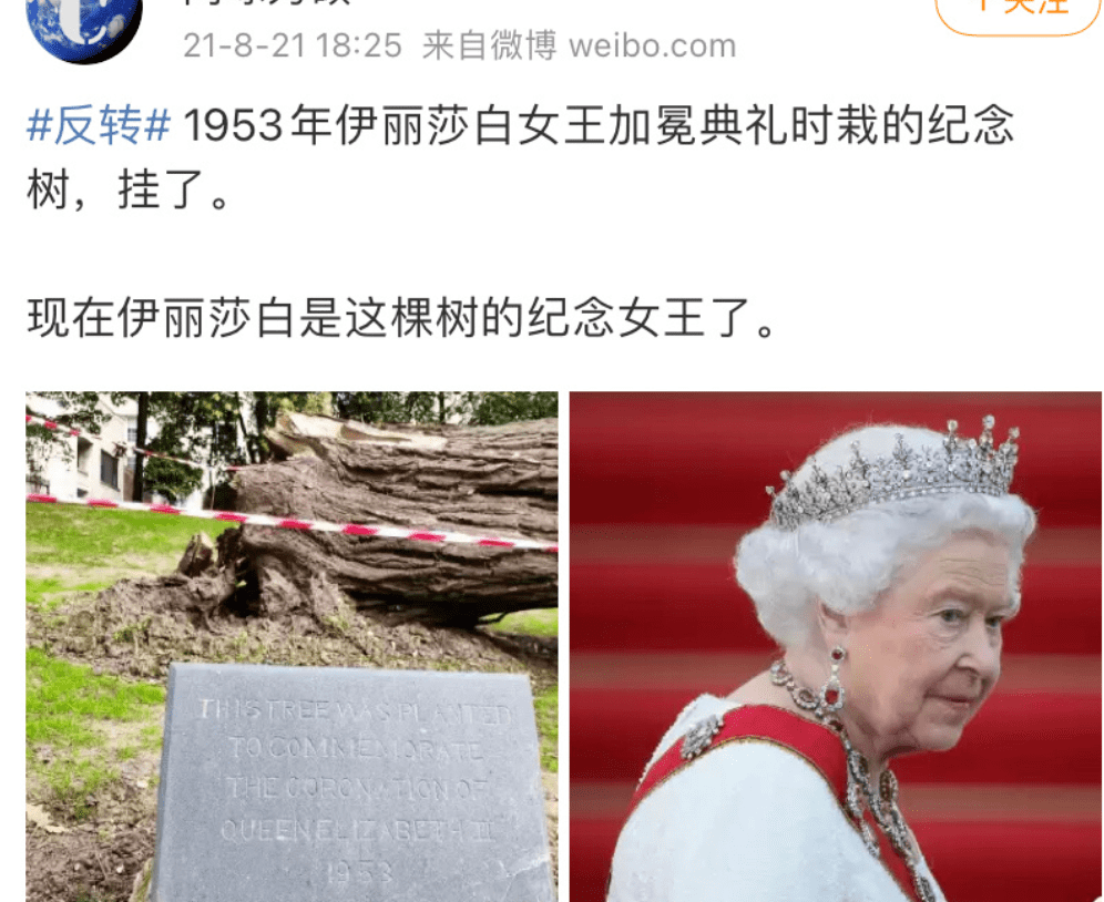 女王去世,三大巧合:她加冕时种的树死了,新国王的名字不吉利休闲区蓝鸢梦想 - Www.slyday.coM 女王去世,三大巧合:她加冕时种的树死了,新国王的名字不吉利休闲区蓝鸢梦想 - Www.slyday.coM