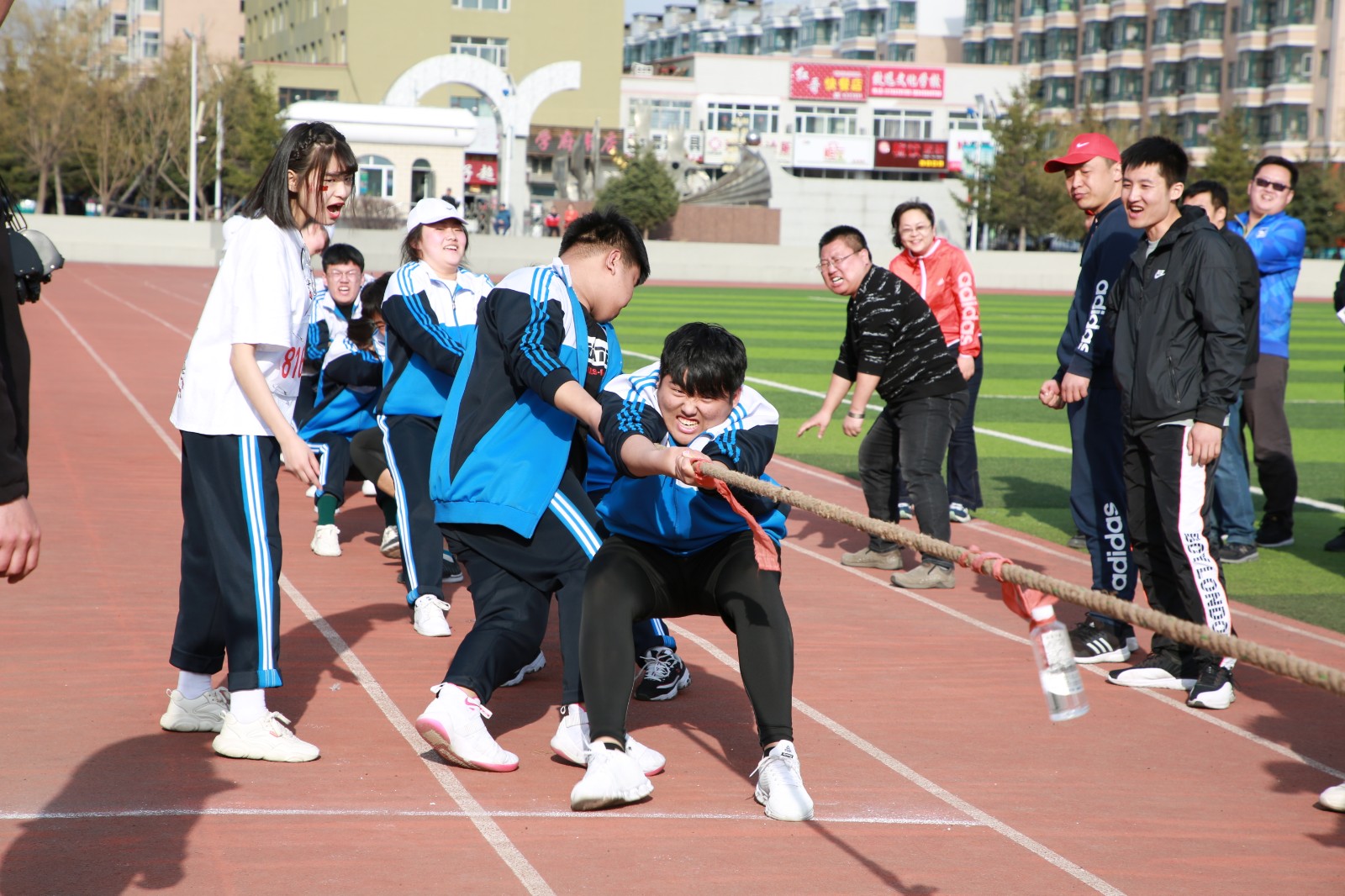 海伦大学里怎么找卖的 —— 海伦大学及相关话题全面解析