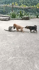 “我爱你,嫁给我好吗?”突然收到微信好友的求爱消息,大晚上给我整“心虚”了是怎么回事哈哈哈休闲区蓝鸢梦想 - Www.slyday.coM “我爱你,嫁给我好吗?”突然收到微信好友的求爱消息,大晚上给我整“心虚”了是怎么回事哈哈哈休闲区蓝鸢梦想 - Www.slyday.coM