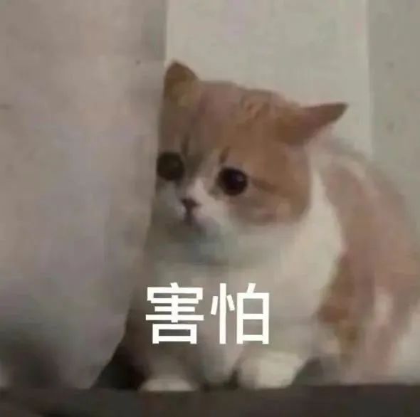 “我爱你,嫁给我好吗?”突然收到微信好友的求爱消息,大晚上给我整“心虚”了是怎么回事哈哈哈休闲区蓝鸢梦想 - Www.slyday.coM “我爱你,嫁给我好吗?”突然收到微信好友的求爱消息,大晚上给我整“心虚”了是怎么回事哈哈哈休闲区蓝鸢梦想 - Www.slyday.coM