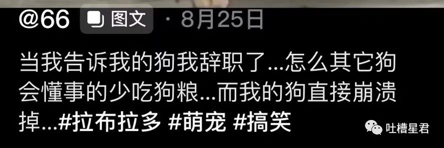 “我爱你,嫁给我好吗?”突然收到微信好友的求爱消息,大晚上给我整“心虚”了是怎么回事哈哈哈休闲区蓝鸢梦想 - Www.slyday.coM “我爱你,嫁给我好吗?”突然收到微信好友的求爱消息,大晚上给我整“心虚”了是怎么回事哈哈哈休闲区蓝鸢梦想 - Www.slyday.coM