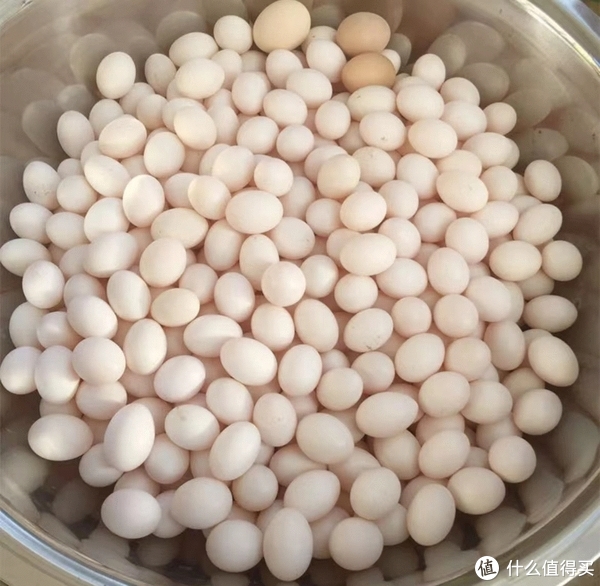 安利来的玄幻的糖果们~,你千万别买不然真的控制不住,看看就好【心水的糖果篇二】我没控制住~捂脸~休闲区蓝鸢梦想 - Www.slyday.coM 安利来的玄幻的糖果们~,你千万别买不然真的控制不住,看看就好【心水的糖果篇二】我没控制住~捂脸~休闲区蓝鸢梦想 - Www.slyday.coM