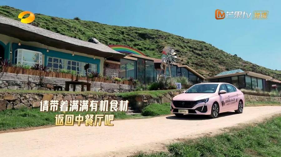 集颜值与智慧于一身 《中餐厅6》这个新晋“合伙人”很有料休闲区蓝鸢梦想 - Www.slyday.coM 集颜值与智慧于一身 《中餐厅6》这个新晋“合伙人”很有料休闲区蓝鸢梦想 - Www.slyday.coM