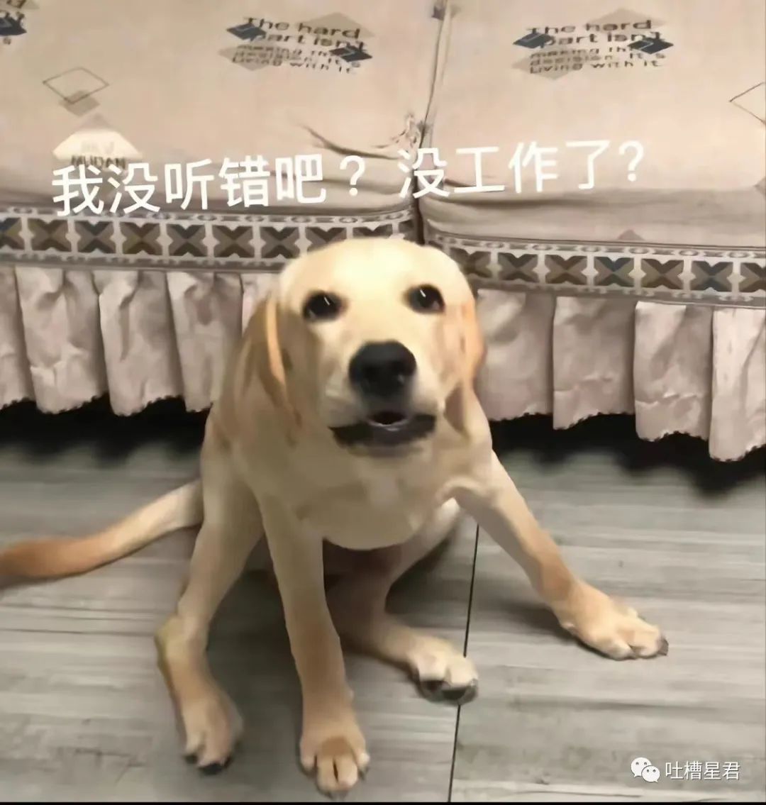 “我爱你,嫁给我好吗?”突然收到微信好友的求爱消息,大晚上给我整“心虚”了是怎么回事哈哈哈休闲区蓝鸢梦想 - Www.slyday.coM “我爱你,嫁给我好吗?”突然收到微信好友的求爱消息,大晚上给我整“心虚”了是怎么回事哈哈哈休闲区蓝鸢梦想 - Www.slyday.coM