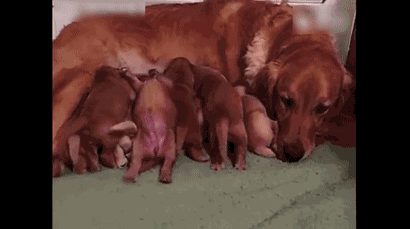 我听说过产后涨奶有多难受,但我真的没想到副乳也能涨……休闲区蓝鸢梦想 - Www.slyday.coM 我听说过产后涨奶有多难受,但我真的没想到副乳也能涨……休闲区蓝鸢梦想 - Www.slyday.coM