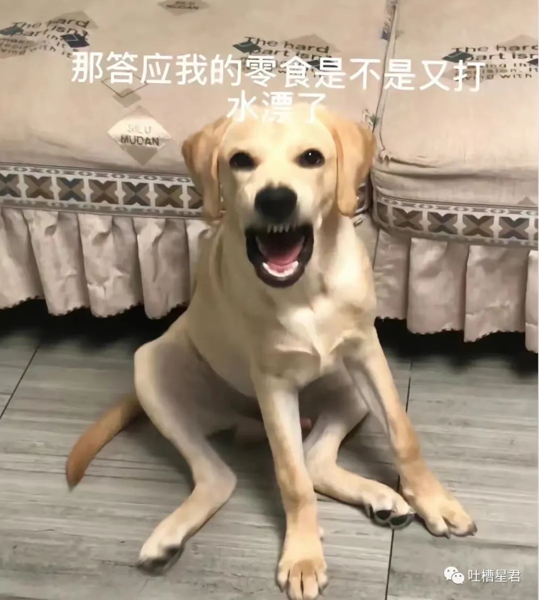 “我爱你,嫁给我好吗?”突然收到微信好友的求爱消息,大晚上给我整“心虚”了是怎么回事哈哈哈休闲区蓝鸢梦想 - Www.slyday.coM “我爱你,嫁给我好吗?”突然收到微信好友的求爱消息,大晚上给我整“心虚”了是怎么回事哈哈哈休闲区蓝鸢梦想 - Www.slyday.coM