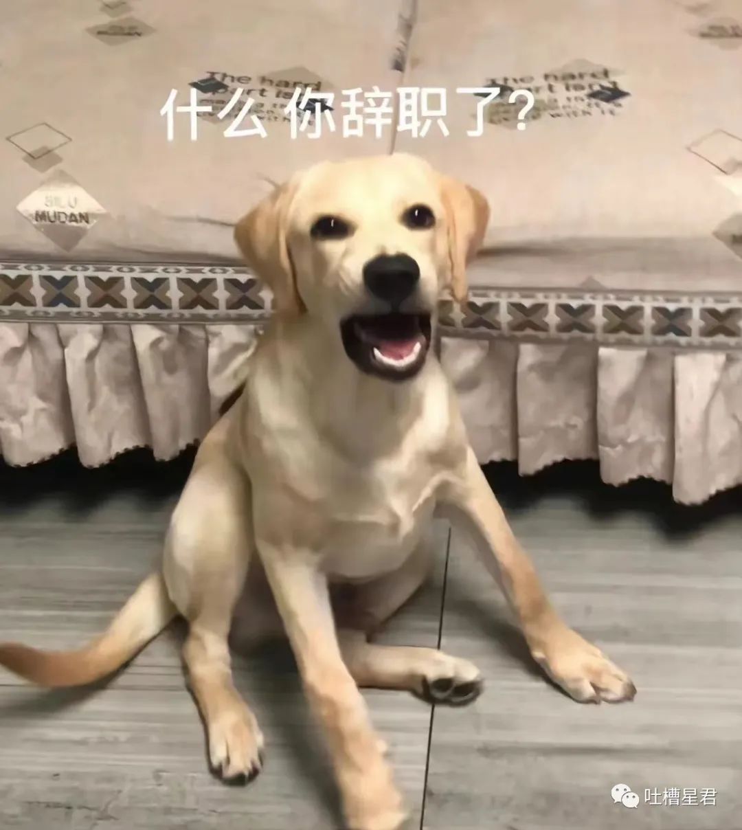 “我爱你,嫁给我好吗?”突然收到微信好友的求爱消息,大晚上给我整“心虚”了是怎么回事哈哈哈休闲区蓝鸢梦想 - Www.slyday.coM “我爱你,嫁给我好吗?”突然收到微信好友的求爱消息,大晚上给我整“心虚”了是怎么回事哈哈哈休闲区蓝鸢梦想 - Www.slyday.coM