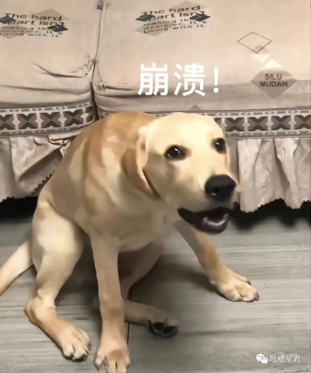 “我爱你,嫁给我好吗?”突然收到微信好友的求爱消息,大晚上给我整“心虚”了是怎么回事哈哈哈休闲区蓝鸢梦想 - Www.slyday.coM “我爱你,嫁给我好吗?”突然收到微信好友的求爱消息,大晚上给我整“心虚”了是怎么回事哈哈哈休闲区蓝鸢梦想 - Www.slyday.coM