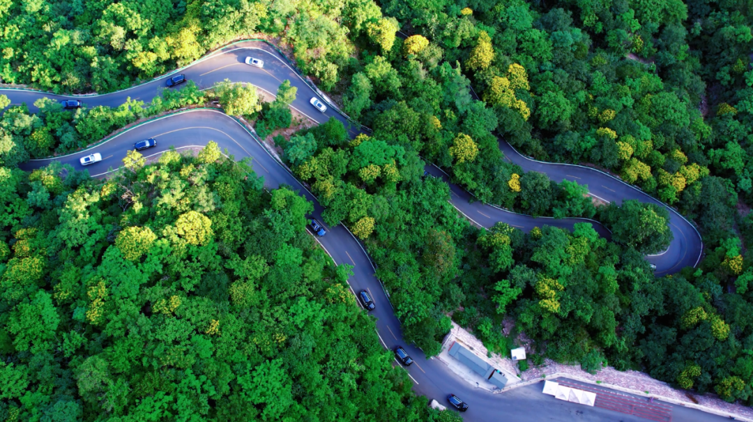当中秋遇上教师节!除了这里免门票,还有……休闲区蓝鸢梦想 - Www.slyday.coM 当中秋遇上教师节!除了这里免门票,还有……休闲区蓝鸢梦想 - Www.slyday.coM