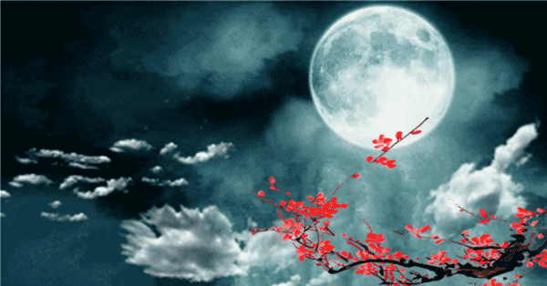 中秋七愿:致我最爱的人!休闲区蓝鸢梦想 - Www.slyday.coM 中秋七愿:致我最爱的人!休闲区蓝鸢梦想 - Www.slyday.coM