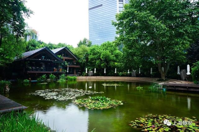 “园”来如此丨第一站,藏着“八景”的静安公园休闲区蓝鸢梦想 - Www.slyday.coM “园”来如此丨第一站,藏着“八景”的静安公园休闲区蓝鸢梦想 - Www.slyday.coM