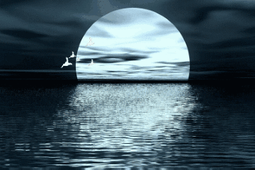 中秋七愿:致我最爱的人!休闲区蓝鸢梦想 - Www.slyday.coM 中秋七愿:致我最爱的人!休闲区蓝鸢梦想 - Www.slyday.coM