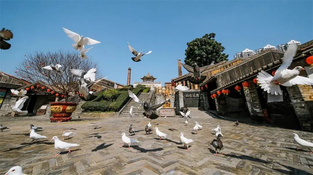 免门票、半价……中秋节遇上教师节,佛山景区优惠大派送!休闲区蓝鸢梦想 - Www.slyday.coM 免门票、半价……中秋节遇上教师节,佛山景区优惠大派送!休闲区蓝鸢梦想 - Www.slyday.coM