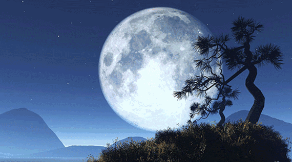 中秋七愿:致我最爱的人!休闲区蓝鸢梦想 - Www.slyday.coM 中秋七愿:致我最爱的人!休闲区蓝鸢梦想 - Www.slyday.coM