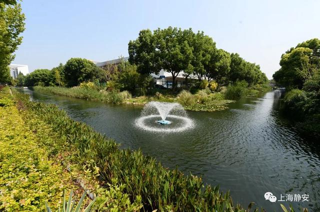 美!中秋小长假,带你去静安的河道漫步,看看那些舒适宜人的迷人景致丨镜头里的静安休闲区蓝鸢梦想 - Www.slyday.coM 美!中秋小长假,带你去静安的河道漫步,看看那些舒适宜人的迷人景致丨镜头里的静安休闲区蓝鸢梦想 - Www.slyday.coM