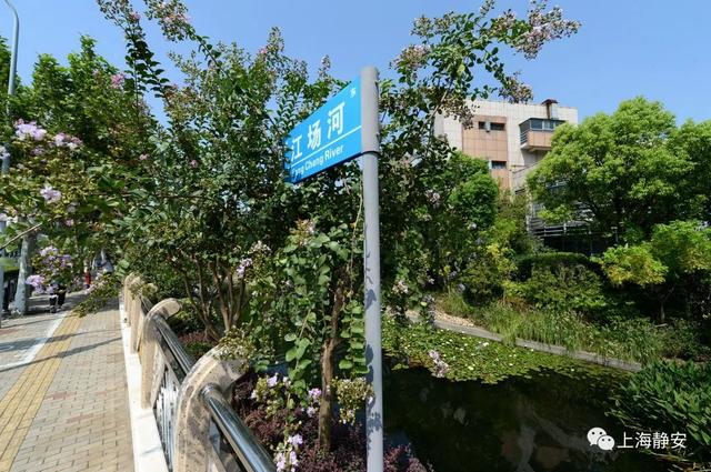 美!中秋小长假,带你去静安的河道漫步,看看那些舒适宜人的迷人景致丨镜头里的静安休闲区蓝鸢梦想 - Www.slyday.coM 美!中秋小长假,带你去静安的河道漫步,看看那些舒适宜人的迷人景致丨镜头里的静安休闲区蓝鸢梦想 - Www.slyday.coM