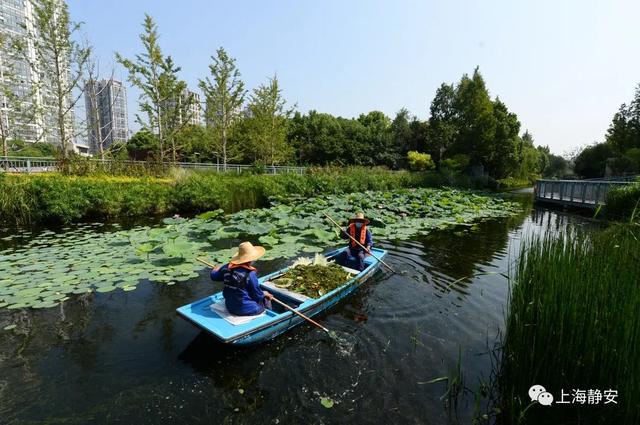美!中秋小长假,带你去静安的河道漫步,看看那些舒适宜人的迷人景致丨镜头里的静安休闲区蓝鸢梦想 - Www.slyday.coM 美!中秋小长假,带你去静安的河道漫步,看看那些舒适宜人的迷人景致丨镜头里的静安休闲区蓝鸢梦想 - Www.slyday.coM