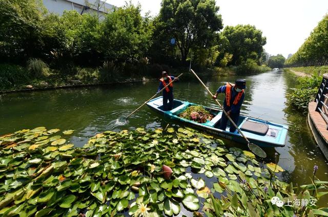 美!中秋小长假,带你去静安的河道漫步,看看那些舒适宜人的迷人景致丨镜头里的静安休闲区蓝鸢梦想 - Www.slyday.coM 美!中秋小长假,带你去静安的河道漫步,看看那些舒适宜人的迷人景致丨镜头里的静安休闲区蓝鸢梦想 - Www.slyday.coM