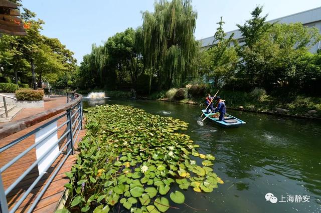 美!中秋小长假,带你去静安的河道漫步,看看那些舒适宜人的迷人景致丨镜头里的静安休闲区蓝鸢梦想 - Www.slyday.coM 美!中秋小长假,带你去静安的河道漫步,看看那些舒适宜人的迷人景致丨镜头里的静安休闲区蓝鸢梦想 - Www.slyday.coM
