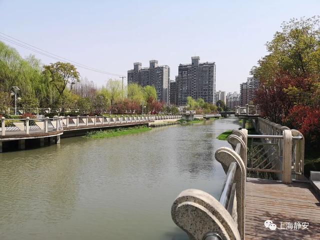 美!中秋小长假,带你去静安的河道漫步,看看那些舒适宜人的迷人景致丨镜头里的静安休闲区蓝鸢梦想 - Www.slyday.coM 美!中秋小长假,带你去静安的河道漫步,看看那些舒适宜人的迷人景致丨镜头里的静安休闲区蓝鸢梦想 - Www.slyday.coM