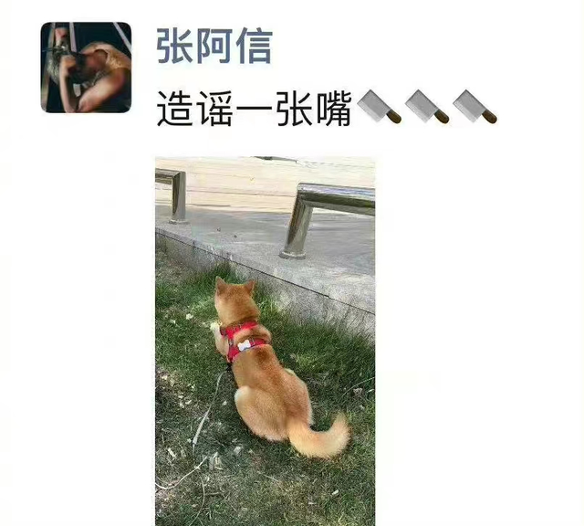 李易峰嫖娼被抓实锤,警方正式通报,此前央视中秋晚会将其除名休闲区蓝鸢梦想 - Www.slyday.coM 李易峰嫖娼被抓实锤,警方正式通报,此前央视中秋晚会将其除名休闲区蓝鸢梦想 - Www.slyday.coM