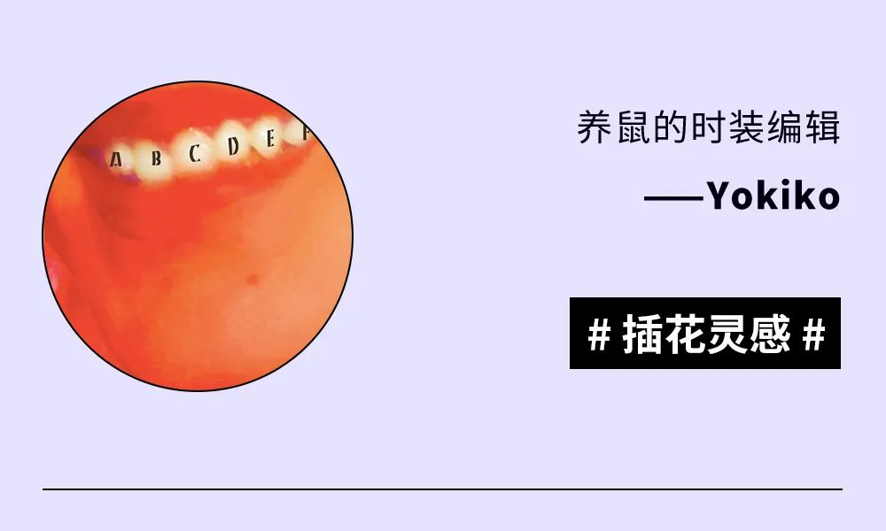 编辑部|本周编辑推荐,原来海边捡垃圾也能如此治愈!休闲区蓝鸢梦想 - Www.slyday.coM 编辑部|本周编辑推荐,原来海边捡垃圾也能如此治愈!休闲区蓝鸢梦想 - Www.slyday.coM