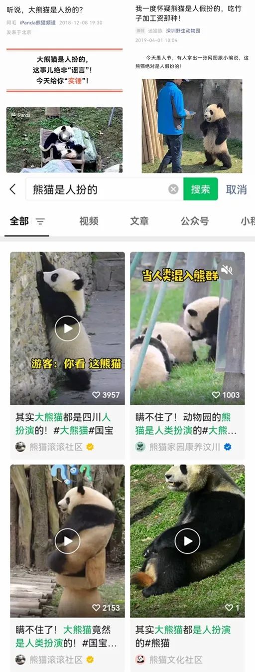 四川有多少熊猫是人扮的?休闲区蓝鸢梦想 - Www.slyday.coM 四川有多少熊猫是人扮的?休闲区蓝鸢梦想 - Www.slyday.coM