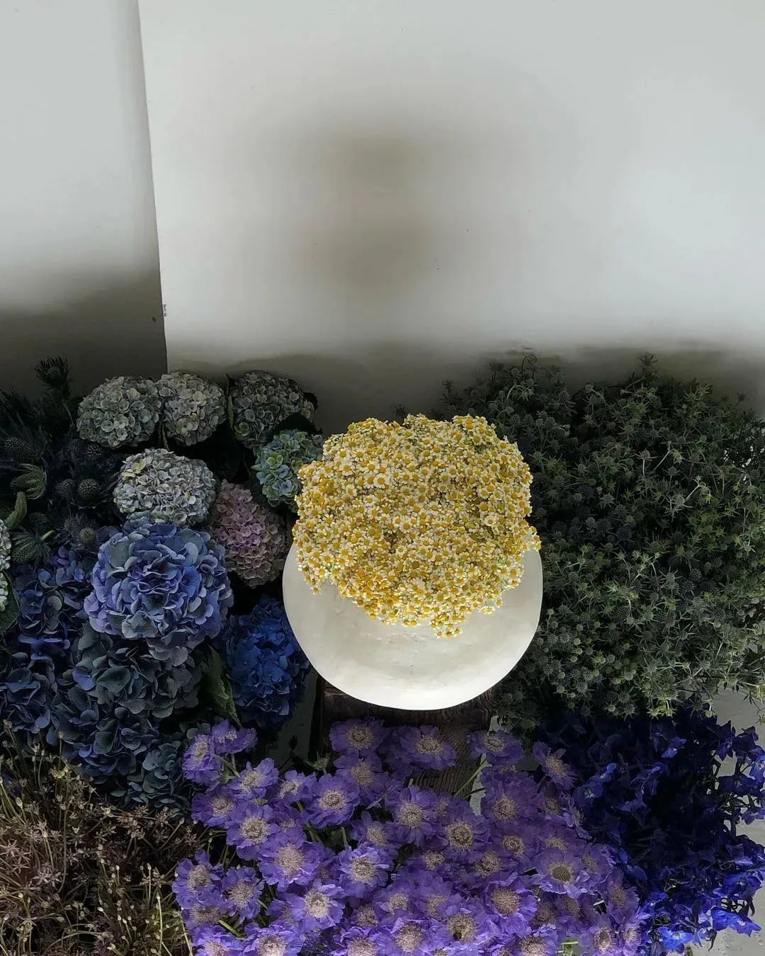 编辑部|本周编辑推荐,原来海边捡垃圾也能如此治愈!休闲区蓝鸢梦想 - Www.slyday.coM 编辑部|本周编辑推荐,原来海边捡垃圾也能如此治愈!休闲区蓝鸢梦想 - Www.slyday.coM