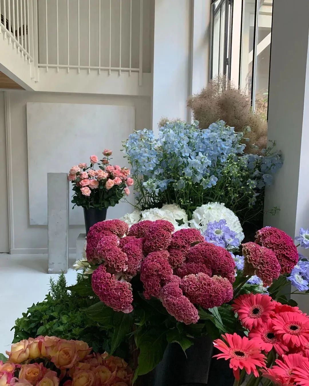 编辑部|本周编辑推荐,原来海边捡垃圾也能如此治愈!休闲区蓝鸢梦想 - Www.slyday.coM 编辑部|本周编辑推荐,原来海边捡垃圾也能如此治愈!休闲区蓝鸢梦想 - Www.slyday.coM