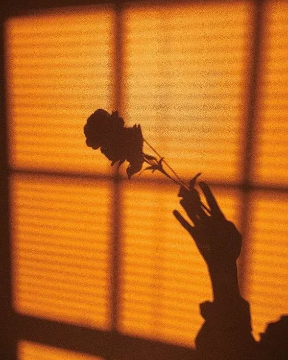 秋天的一些拍照灵感,满屏的橘色调,太治愈了!休闲区蓝鸢梦想 - Www.slyday.coM 秋天的一些拍照灵感,满屏的橘色调,太治愈了!休闲区蓝鸢梦想 - Www.slyday.coM