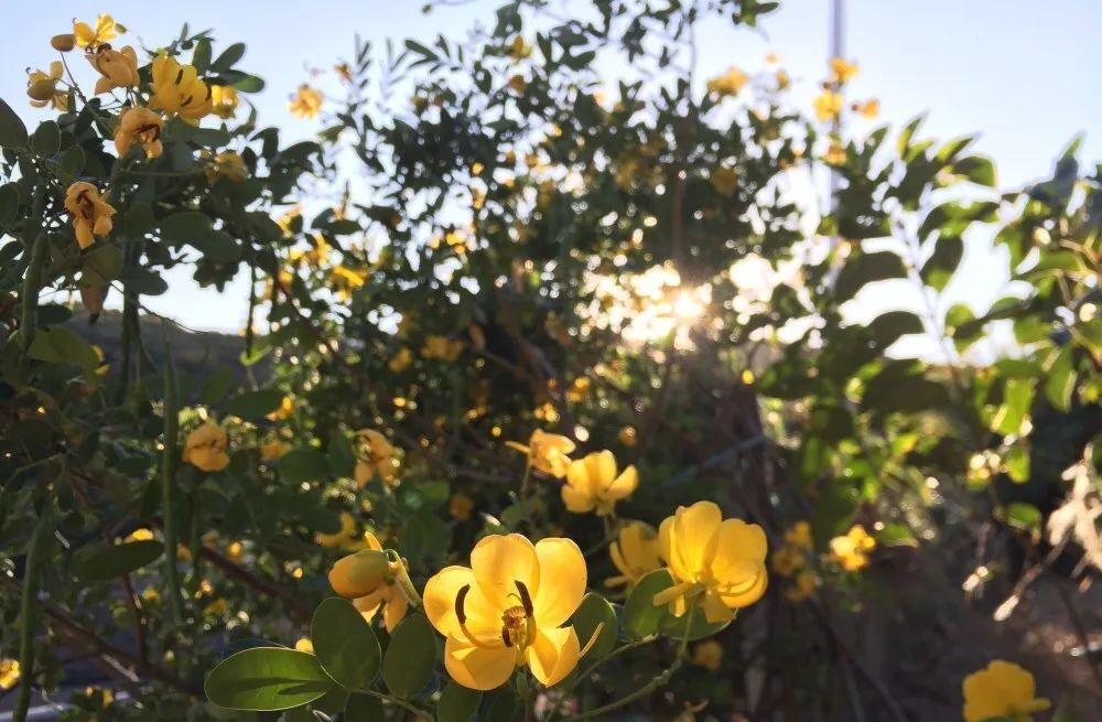 秋天的一些拍照灵感,满屏的橘色调,太治愈了!休闲区蓝鸢梦想 - Www.slyday.coM 秋天的一些拍照灵感,满屏的橘色调,太治愈了!休闲区蓝鸢梦想 - Www.slyday.coM